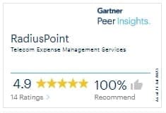 RadiusPoint Gartner Peer Insights review