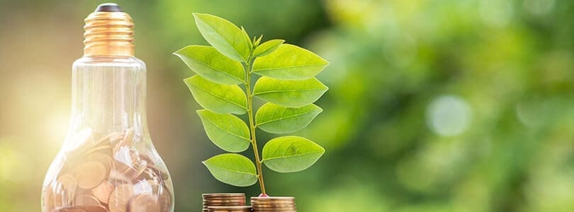 lightbulb full of coins sits beside coin stacks with a plant resting on top